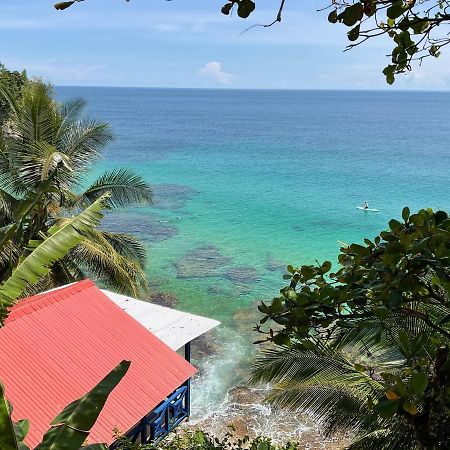 Tesoro Escondido Ecolodge Cabinas Bocas del Toro Exteriör bild